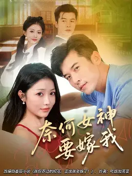 高清免费视频专区